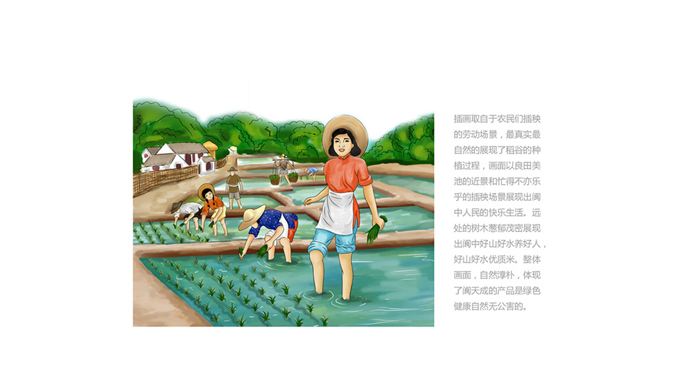 阆天成大米包装设计